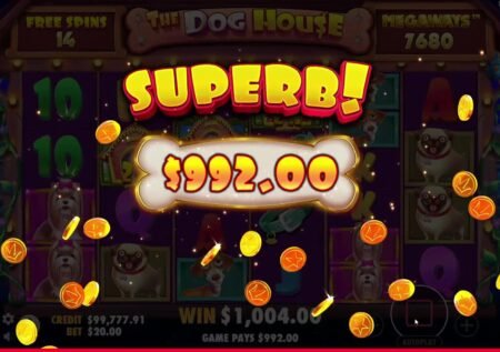 Play The Dog House Megaways Slot Game